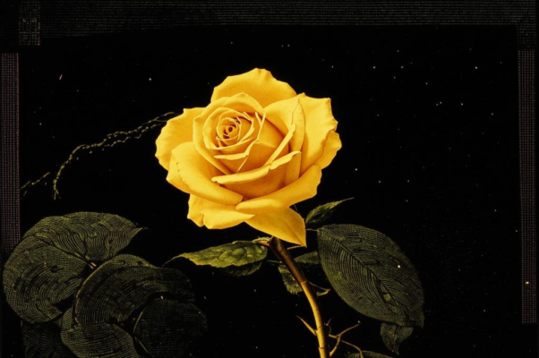 «По жаре дневной жестоко...»