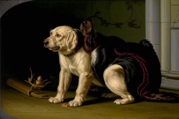 Моська и собака на привязи