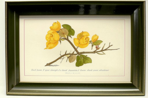 Сентиментальное стихотворение для Т.М. Девель