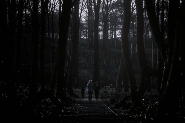 «Свидетели тоски моей...»