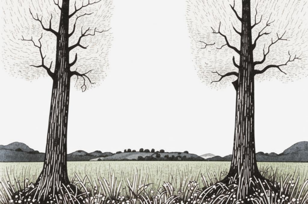 «На тополя, на ясени...»