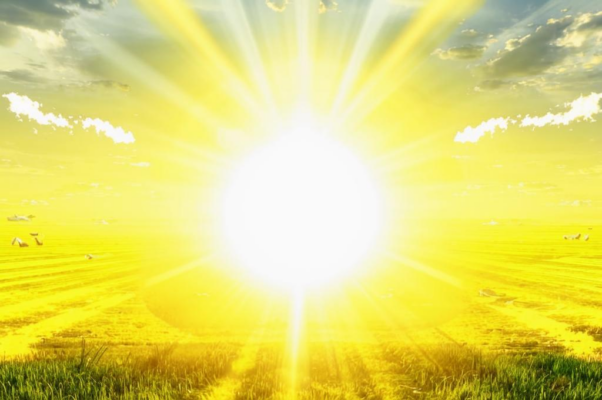 Поле («Раскинулось поле волнистою ткань…»)