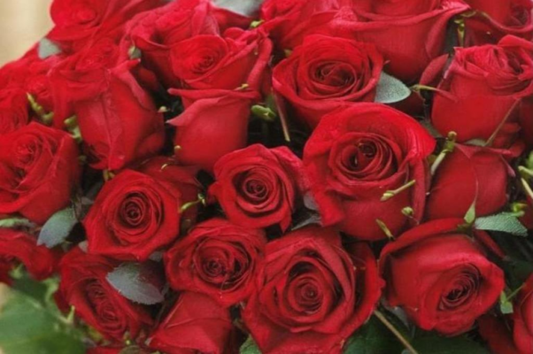 «Быть на болоте куликом...»