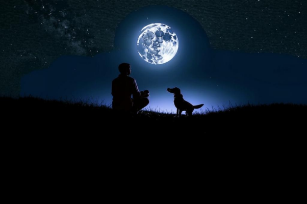 «До радостного утра иль утра...»