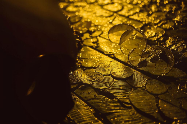 «Кто рос и серебро на ус...»