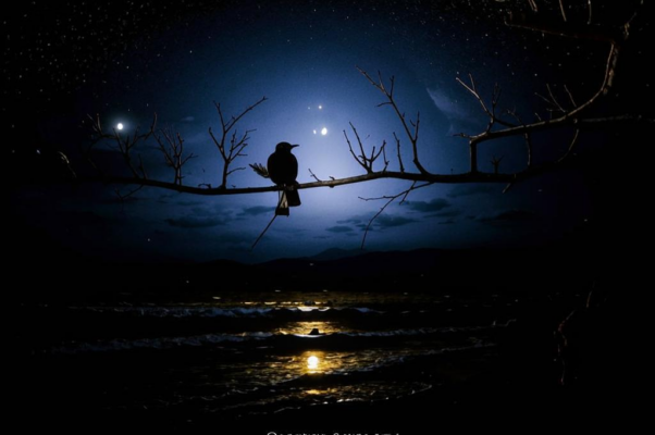 Новому веку