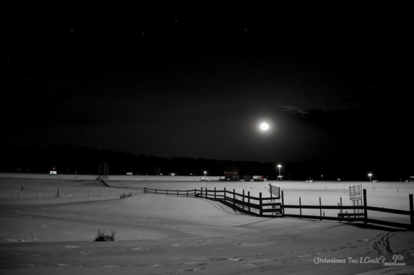 Деревенский сторож
