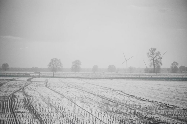 «Как нежно ветер над полем стелется...»