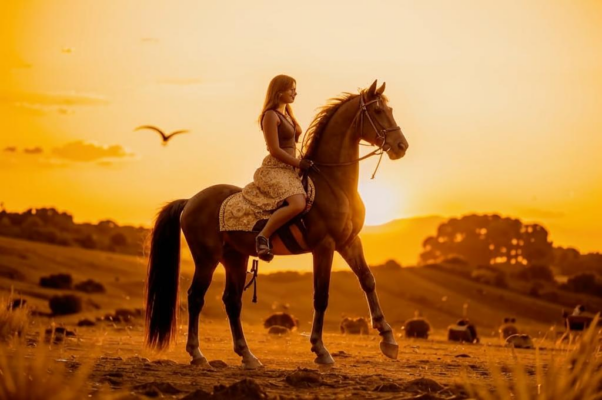 «На позолоченной площадке...»