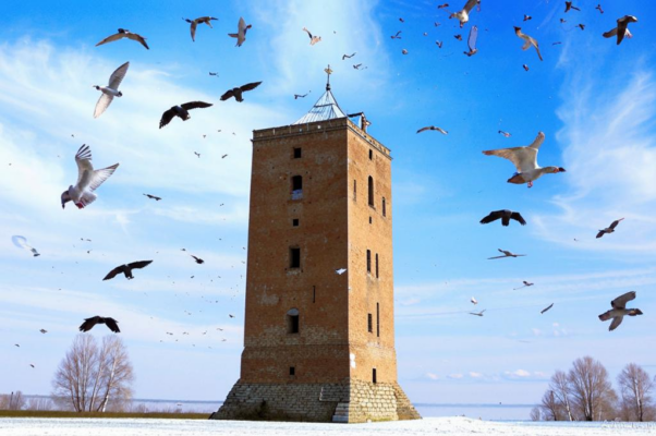 «Прасковья, Паша, Пашенька!..»