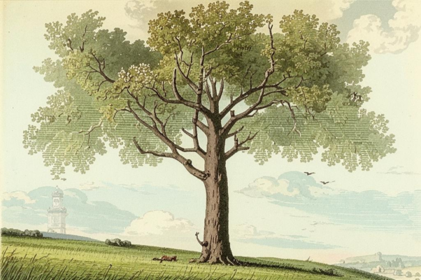 «Из детских всех воспоминаний...»