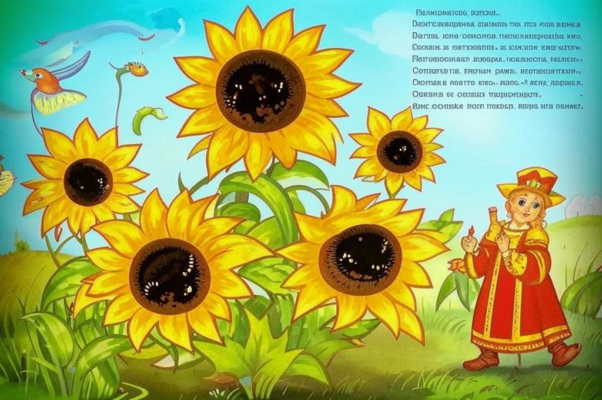 Фиалка и подсолнечник