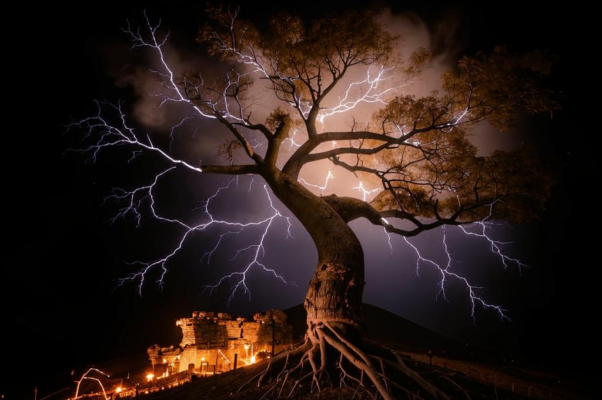 «Гремел сегодня ночью гром...»