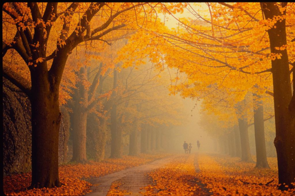 Идиллия XXV. Осень