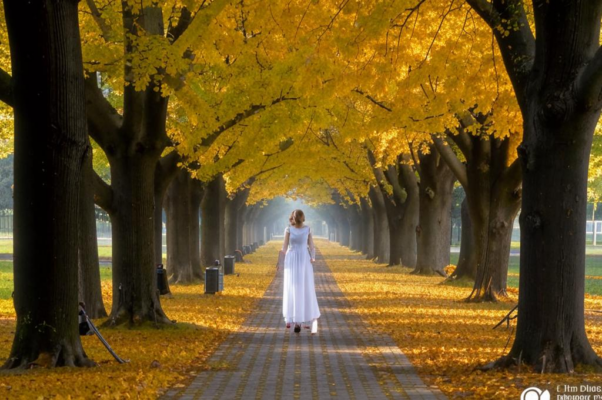 Будто из Гейне