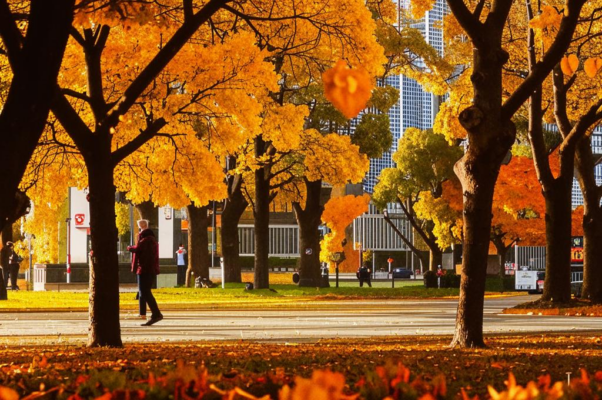 «Есть много дней, хороших дней...»