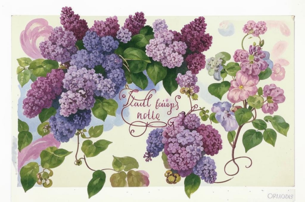 Сирень и розы