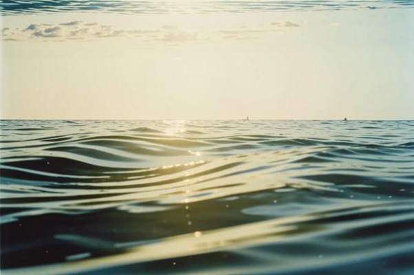 «Высокая волна тебя несет...»