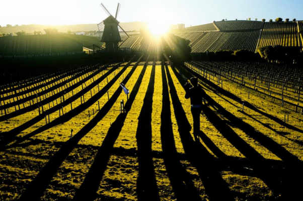 «Тень от ветряка...»