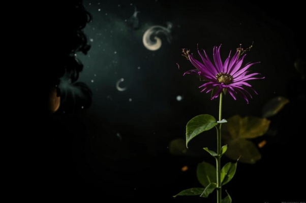 «Унылый друг...»