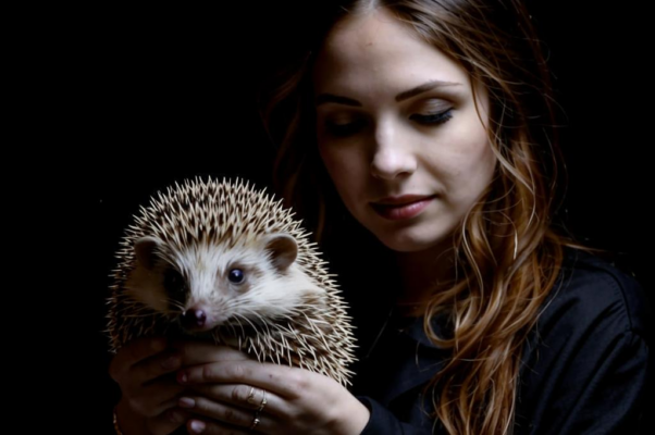 «Я ль не молилась, — отчего ж...»