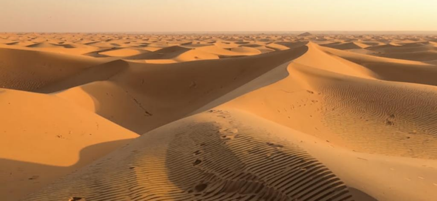 «Передрассветный ветер...»