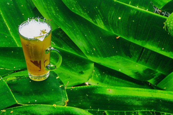 Бразильская весна