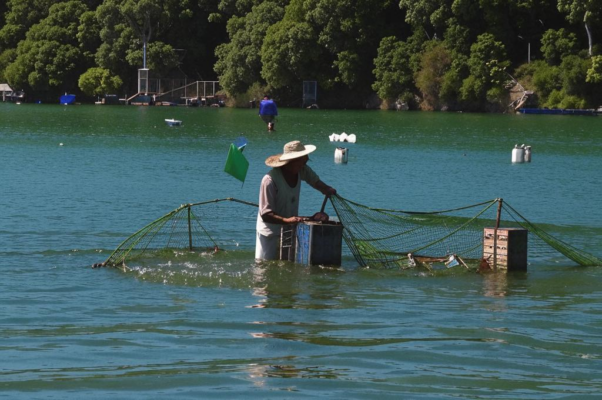 Улов («Мы, рыбаки в родном Генисарете…»)
