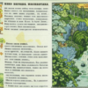 Рубеж весны