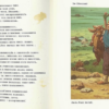 «Жил-был Иван Разумник...»