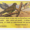 «Сколько вечной в нас человечины...»
