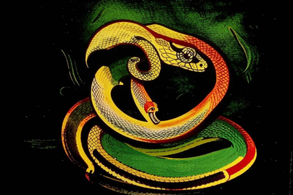 «О глупомудрый, змеиногубый!..»