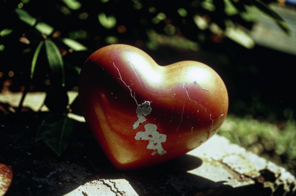 «О сердце человечье, ты все в кровоподтеках...»