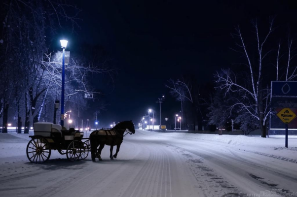 Сказка («Очарованье зимней ночи…»)