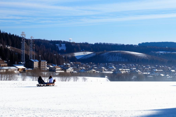 «Не тихо и не шибко...»