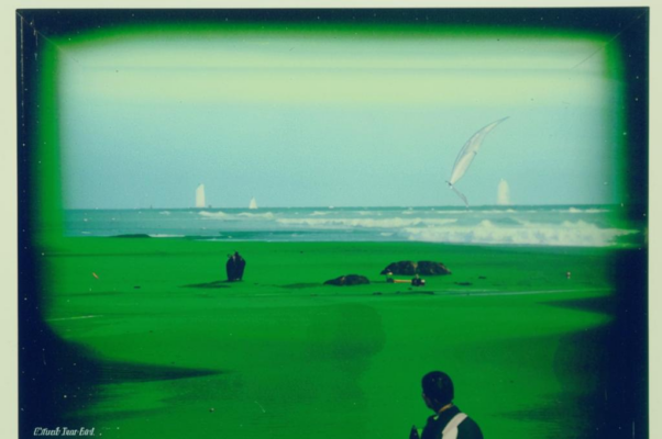 «И вновь превращенья свершаются ночью...»