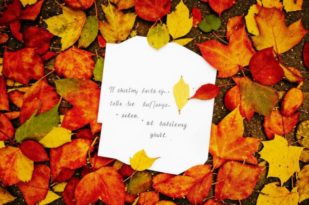 «Скорей бы эти листья облетели!..»