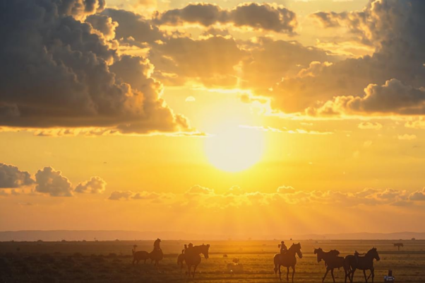 «Облаков, друзей моих закатных...»