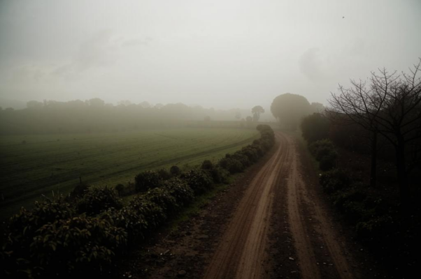 «Скользя на послушной машине...»