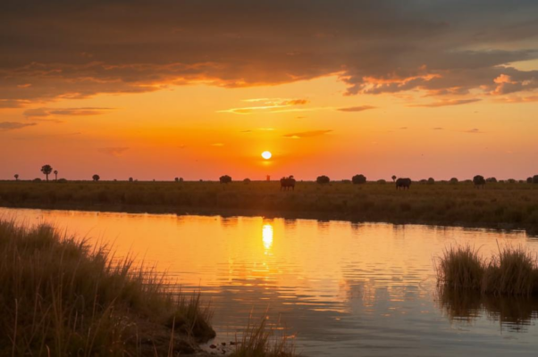 «Печальны вы, часы заката...»
