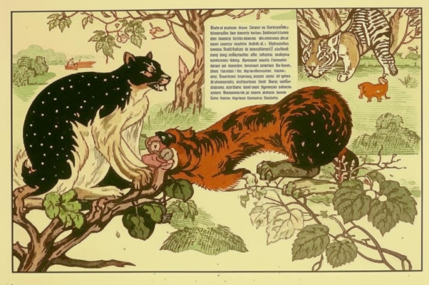 «Бело напудрив красные глаза...»