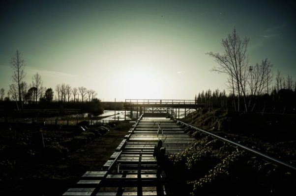 «Падает солнце в холодную воду...»