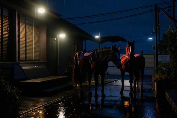 «Лошади стучали по асфальту...»