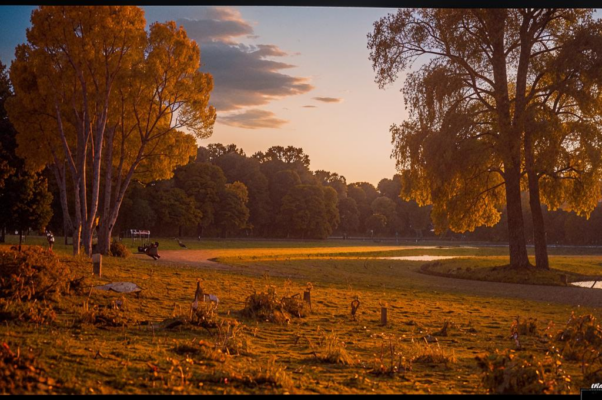 Напрасная музыка
