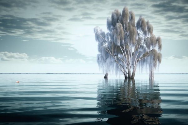 «От высокой жизни березы...»