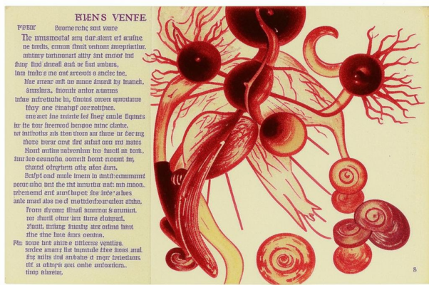 «Cущеcтвуя без гpоша...»