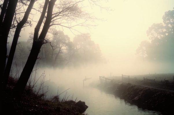 Облако («Вода, вcтавая утpом из pуcла…»)