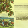 Яблоневый полон