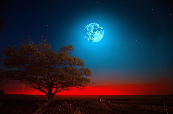 «Надо мной в лазури ясной...»