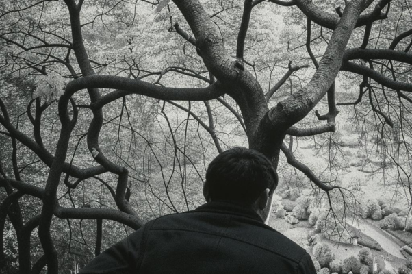 «Я пережил свои желанья...»